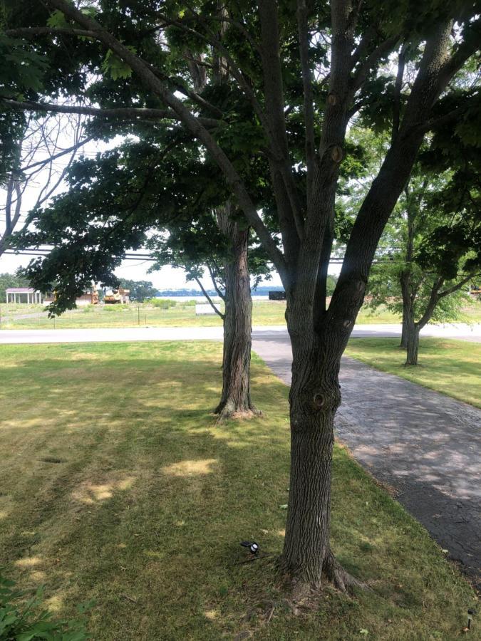 The Fallen Tree Inn 日内瓦 外观 照片